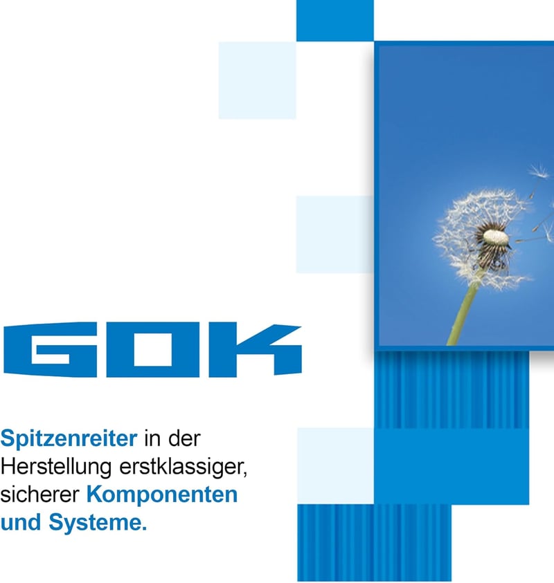 GOK 2-kimenetes gáznyomás-szabályozó