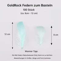 GoldRock 100 db színes dekorációs toll kézműves díszítéshez 2