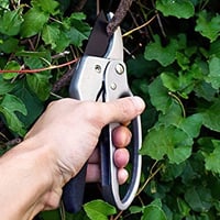 GOODS+GADGETS Univerzális Metszőolló Rozsdamentes Acél Virágolló Kovácsolt Pengével 2