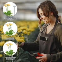 Gosknor 16 db állítható növénytámasz 4,5 mm növénykötöző karó kert virág 5