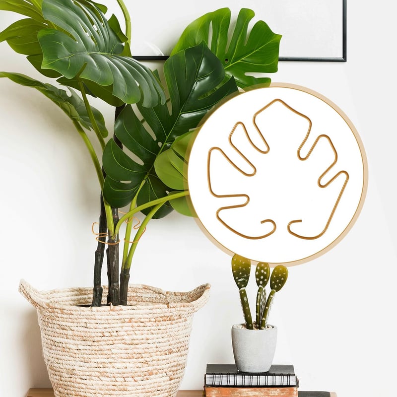 Gosknor 5 darabos Monstera növénytámasz szett, növénytartó karok beltéri növényekhez