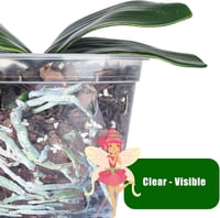 GOTVUGE Orchidea Cserépszett 5 db Átlátszó Lyukacsos Cserép Orchideához 4