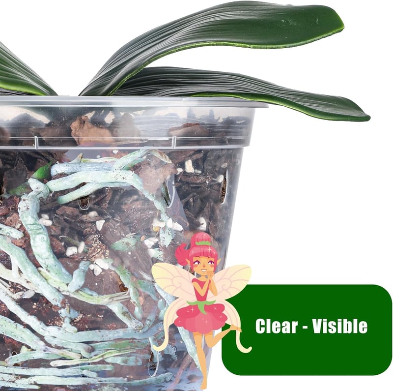 GOTVUGE Orchidea Cserépszett 5 db Átlátszó Lyukacsos Cserép Orchideához