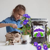 GOTVUGE Organic Morning Glory Talaj Mix 10L - Egészséges Növekedés és Virágzás 6
