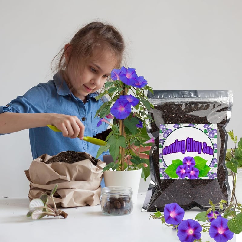 GOTVUGE Organic Morning Glory Talaj Mix 10L - Egészséges Növekedés és Virágzás