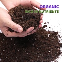 GOTVUGE Organic Morning Glory Talaj Mix 10L - Egészséges Növekedés és Virágzás 2