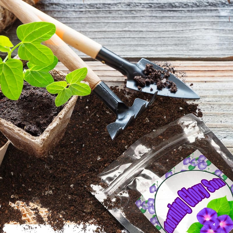 GOTVUGE Organic Morning Glory Talaj Mix 10L - Egészséges Növekedés és Virágzás