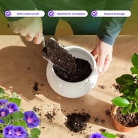 GOTVUGE Organic Morning Glory Talaj Mix 10L - Egészséges Növekedés és Virágzás 5
