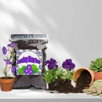 GOTVUGE Organic Morning Glory Talaj Mix 10L - Egészséges Növekedés és Virágzás 4