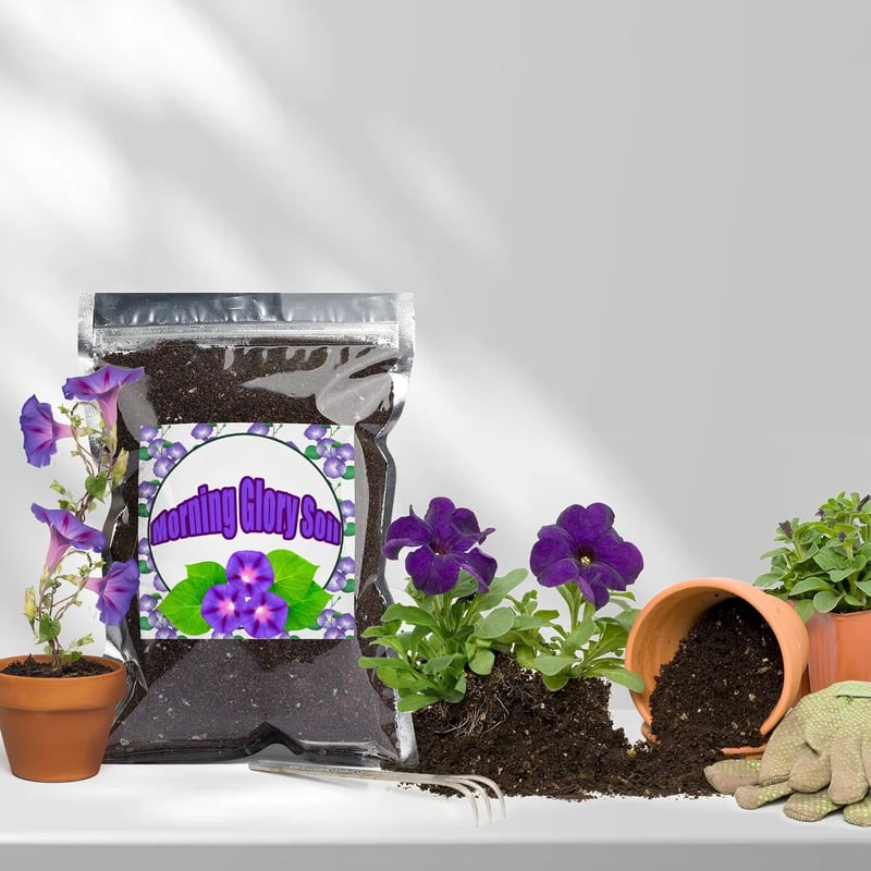 GOTVUGE Organic Morning Glory Talaj Mix 10L - Egészséges Növekedés és Virágzás