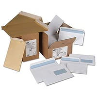 Plicuri autoadezive GPV 500 buc. - Format DL (110x220 mm), Fără fereastră, Alb, 80 g/m2, Certificat PEFC 5