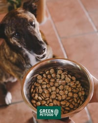 Green Petfood VeggieDog suha hrana za pse s crvenom lećom – 10 kg 10