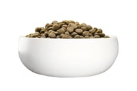 Green Petfood VeggieDog suha hrana za pse s crvenom lećom – 10 kg 9