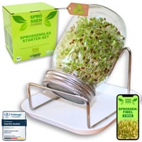 Recipient de germinare Green SEEDS Sprossenzauber, 1 buc., 500 ml, cu capac din oțel inoxidabil și tavă de colectare, pentru germinarea semințelor de broccoli, lucernă, creson, kit pentru începători 1