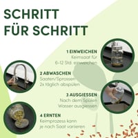 Recipient de germinare Green SEEDS Sprossenzauber, 1 buc., 500 ml, cu capac din oțel inoxidabil și tavă de colectare, pentru germinarea semințelor de broccoli, lucernă, creson, kit pentru începători 2