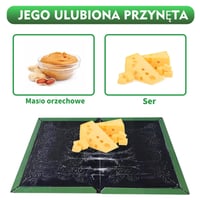 GroZythre čierne lepiace doštičky na hmyz – 8 ks silných lepiacich pascí na vnútorné aj vonkajšie použitie, bezpečné pre deti a domácich miláčikov 3