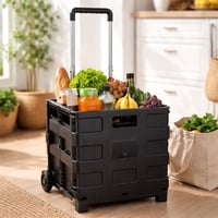Grundig Kinzo 05703 Sklopiva kolica za kupovinu nosivosti 25 kg, crna, pogodna za kampiranje i kupovinu 4