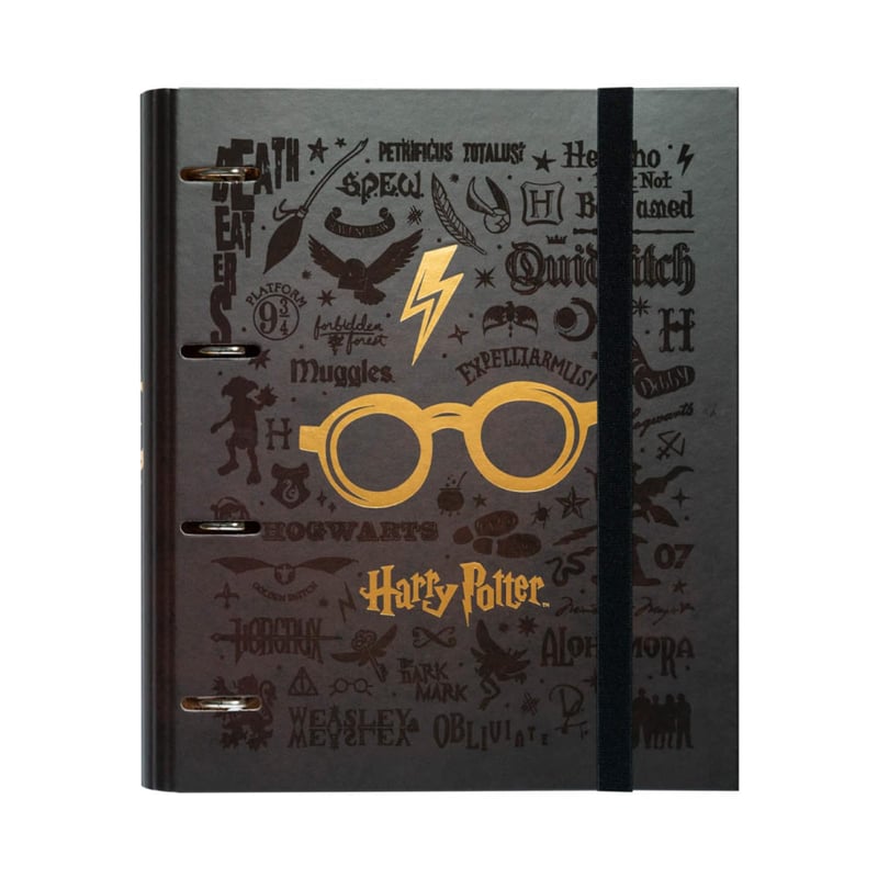 Dosar cu inele premium A4 Grupo Erik Harry Potter, 4 inele