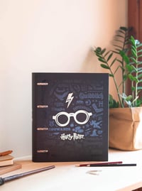 Dosar cu inele premium A4 Grupo Erik Harry Potter, 4 inele 9