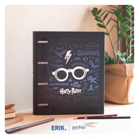 Dosar cu inele premium A4 Grupo Erik Harry Potter, 4 inele 4