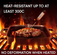 GUSSKÖNIG 30 cm előfűszerezett öntöttvas grilllap steaklap gáz és indukció tűzhelyhez tisztítószerrel receptkönyv 6