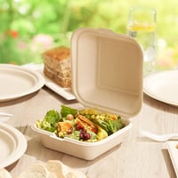 HAAGO 50db Prémium Cukornád Hamburger Doboz 990ml - Környezetbarát, Biológiailag Lebomló, Komposztálható Elviteles Ételdoboz 15cm 6