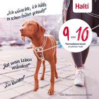 Ham anti-tragere pentru câini Halti, mărimea M, albastru cobalt - Ham pentru dresaj (anti-tragere) pentru câini 6