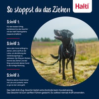 Ham anti-tragere pentru câini Halti, mărimea M, albastru cobalt - Ham pentru dresaj (anti-tragere) pentru câini 4