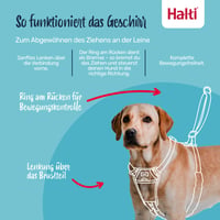 Ham anti-tragere pentru câini Halti, mărimea M, albastru cobalt - Ham pentru dresaj (anti-tragere) pentru câini 2