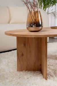 Măsuță de cafea Hanah Home Atlantic Pine, 119x39,8x60 cm, PAL melaminat de 18 mm grosime, pentru un living modern 6