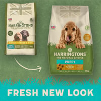 HARRINGTONS Kompletné krmivo pre šteňatá s morčacím mäsom a ryžou 10 kg 3