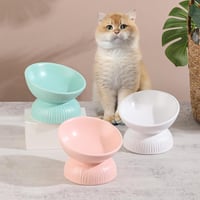 HCHLQLZ megemelt kerámia macska etetőtál 280 ml, dőlt tál hányás ellen, 15,5 cm átmérő 6