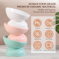 HCHLQLZ megemelt kerámia macska etetőtál 280 ml, dőlt tál hányás ellen, 15,5 cm átmérő 5