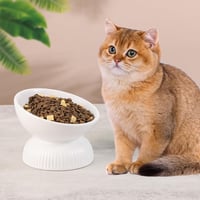 HCHLQLZ megemelt kerámia macska etetőtál 280 ml, dőlt tál hányás ellen, 15,5 cm átmérő 7