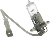 Hella H3 55W 12V Halogén Izzó PK22S Foglalat 1