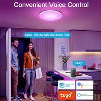 Heyseven LED stropné svietidlo stmievateľné 24W Smart RGB s meniteľnými farbami IP44 vodotesné do kúpeľne spálne obývačky kompatibilné s Alexa a Google Assistant 3