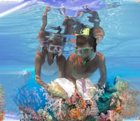 HH HHAO SPORT Felnőtt Búvárszett - Edzett Üveg Búvármaszk, Száraz Légzőcső, Úszólábak és Hordtáska - Unisex Snorkel Készlet 36-41 Méret

AI: 7