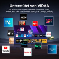 HKC H42Q1LF-V Smart TV 42 colos (107 cm) Full HD LED televízió Wi-Fi, Triple Tuner, AirPlay, Netflix, YouTube, HDMI, USB, CI/CI+ funkcióval 2