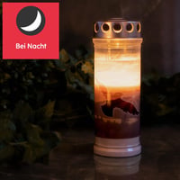 Hofer Friedlicht 6 darabos sírgyertya szett 7 napos égésidővel esőálló fedéllel - Longing Select 7