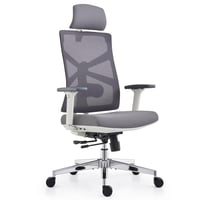 HOLLUDLE Ergonomska uredska stolica s podesivim naslonom za leđa i naslonom za glavu, bijela 1