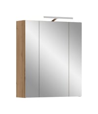 Zrkadlová skrinka Homes & Jones xonox.home Ice 60x70x18 cm so zabudovaným osvetlením, dekor dub Artisan 1