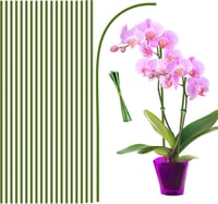 HOUNANG 44,5 cm Növénytámasz 20 db Zöld Műanyag Fém Orchidea Karó Kültéri Beltéri 1