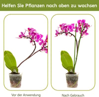HOUNANG 44,5 cm Növénytámasz 20 db Zöld Műanyag Fém Orchidea Karó Kültéri Beltéri 4