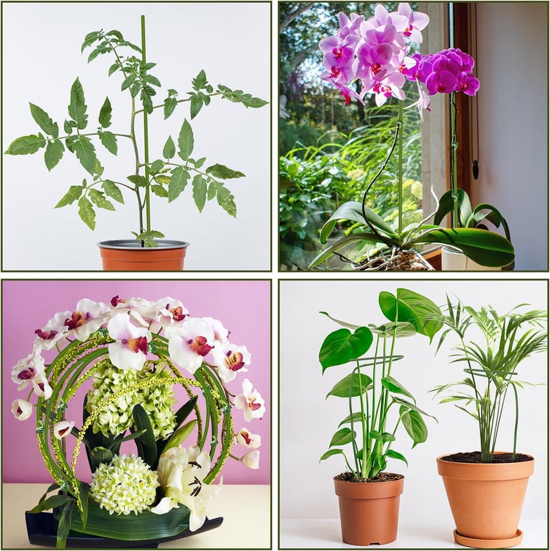 HOUNANG 44,5 cm Növénytámasz 20 db Zöld Műanyag Fém Orchidea Karó Kültéri Beltéri