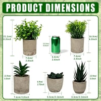 HuaCommerce 5 ks umelých rastlín na dekoráciu – mini umelé rastliny (agáve, aloe, svokrin jazyk) – obývačka, spálňa, kúpeľňa, kuchyňa, kancelária 2