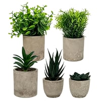 HuaCommerce 5 ks umelých rastlín na dekoráciu – mini umelé rastliny (agáve, aloe, svokrin jazyk) – obývačka, spálňa, kúpeľňa, kuchyňa, kancelária 1