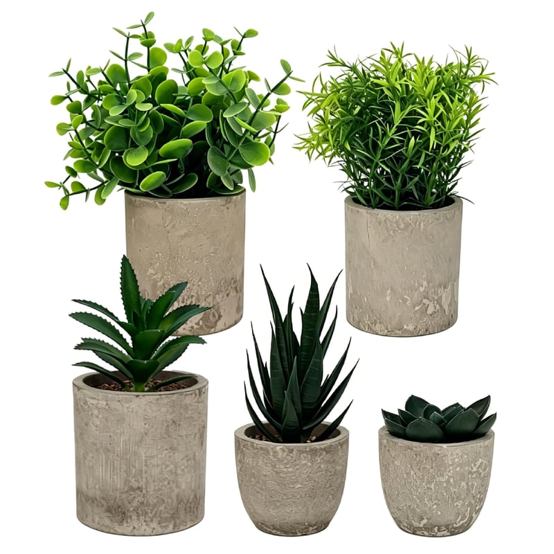HuaCommerce 5 ks umelých rastlín na dekoráciu – mini umelé rastliny (agáve, aloe, svokrin jazyk) – obývačka, spálňa, kúpeľňa, kuchyňa, kancelária