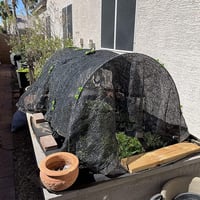HuaMuDM 43 cm-es üvegházi ív, kerti alagút, polytunnel ív, emelt ágyhoz 6