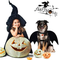 Huifengjie Denevér Szárnyak Kutyának L-es Halloween Jelmez Tökös Csengővel 5
