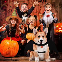 Huifengjie Denevér Szárnyak Kutyának L-es Halloween Jelmez Tökös Csengővel 7